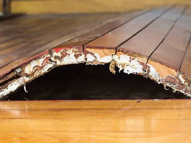 All Water Damage Restoration Of Reno Picture 1