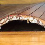 All Water Damage Restoration Of Reno