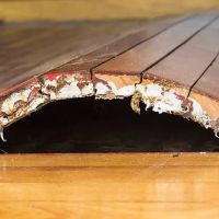 All Water Damage Restoration Of Reno ico