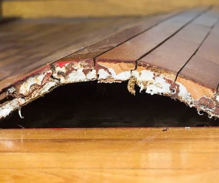 All Water Damage Restoration Of Reno