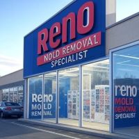 Reno Mold Specialists ico