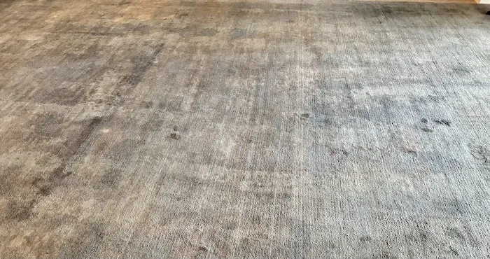 Stanley Steemer Picture 8