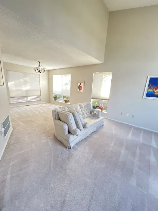 Stanley Steemer Picture 4