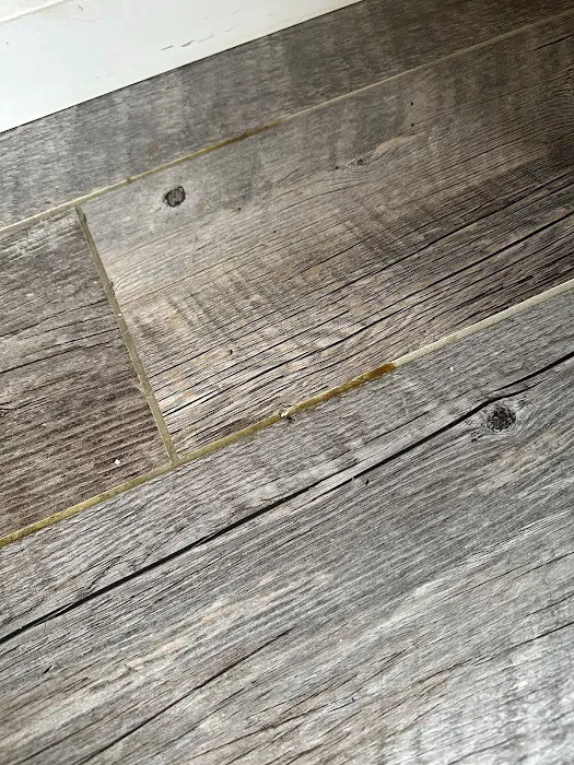 Stanley Steemer Picture 7