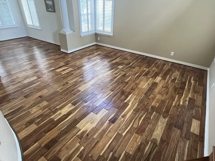 Stanley Steemer Picture 6