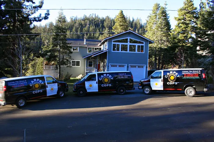 Carpet Cops Nv/Ca Picture 3