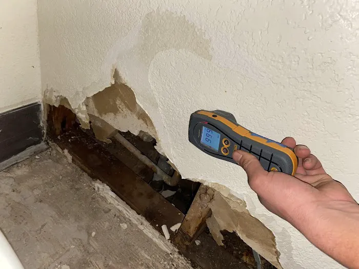 Titan Restoration of Arizona Picture 8