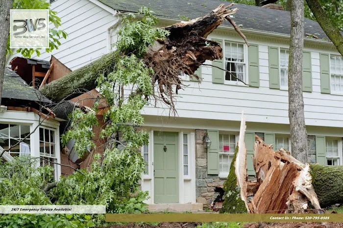 Better Way Services Inc Picture 1