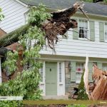 Better Way Services Inc