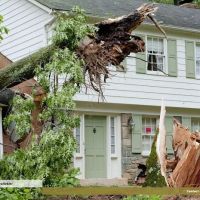 Better Way Services Inc ico