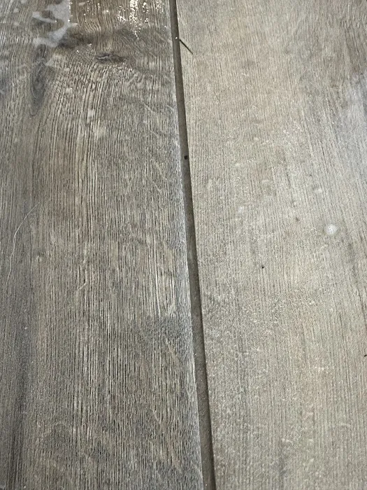 Stanley Steemer Picture 9