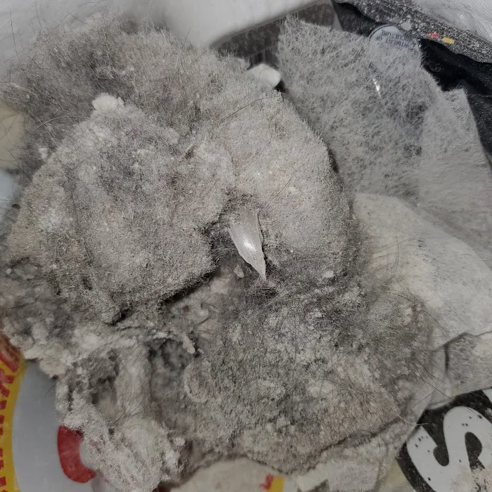 Stanley Steemer Picture 5