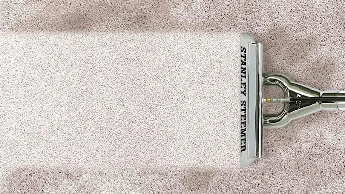 Stanley Steemer Picture 10