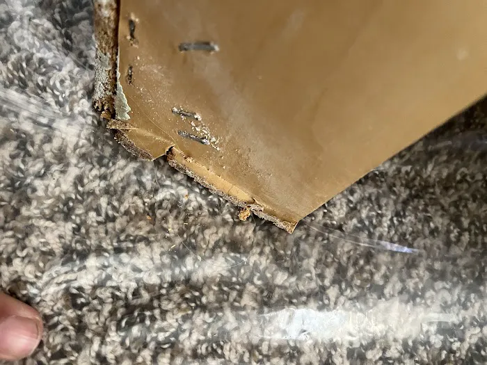 Rx2 Remodel Picture 9