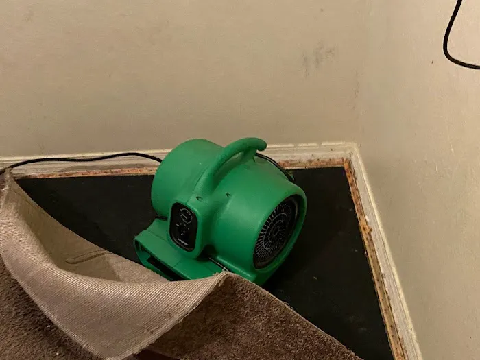 Canyon Restoration Picture 2