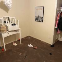 Canyon Restoration ico