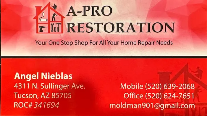 A Pro Restoration Picture 1