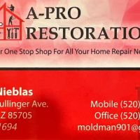 A Pro Restoration ico