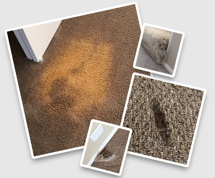 Commercial Cleaning & Restoration Picture 2