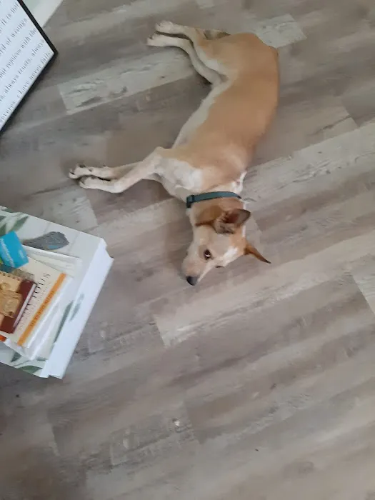 CityWide Restoration Picture 1