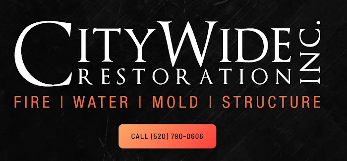 CityWide Restoration Picture 6