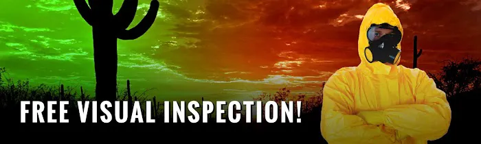 Arizona Mold Picture 2