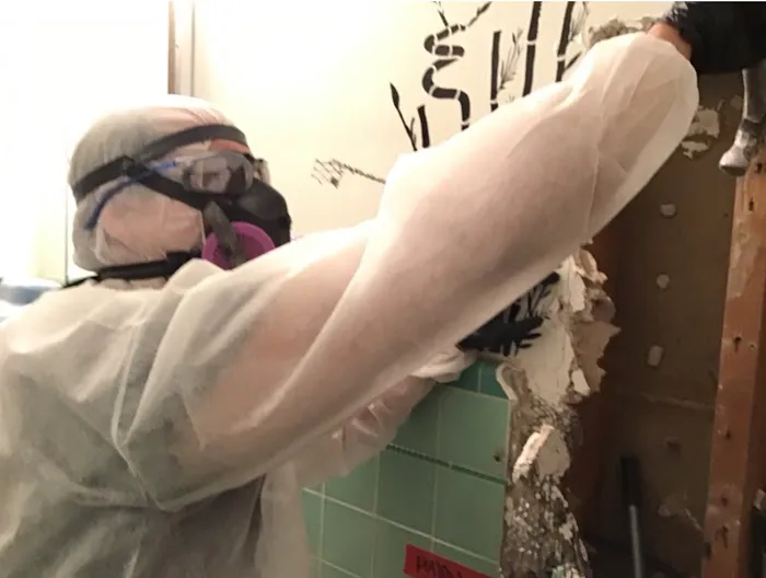 Arizona Mold Picture 4