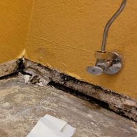 1-800 Water Damage of Greater Tucson ico