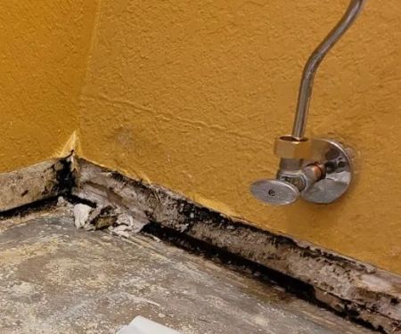 1-800 Water Damage of Greater Tucson