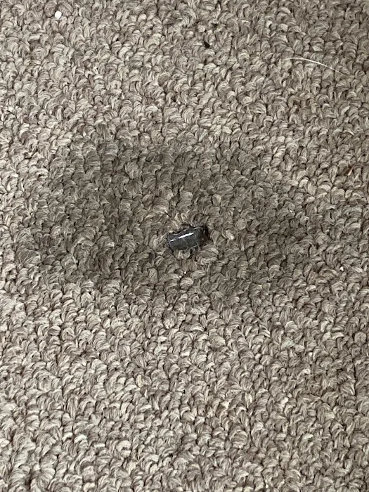 Steamy Concepts Picture 9