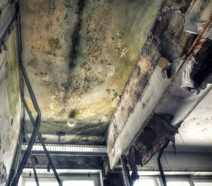 Tucson Water Damage & Mold Removal Pros By Steamy Concepts Picture 7