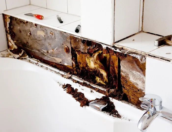 Tucson Water Damage & Mold Removal Pros By Steamy Concepts Picture 3