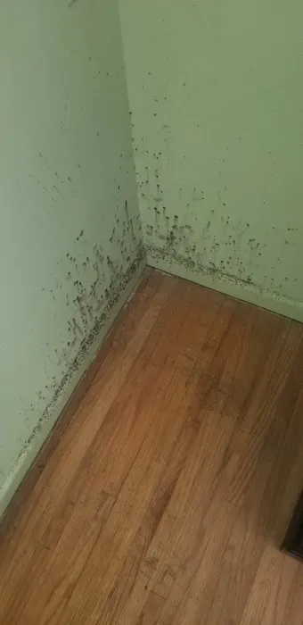 Pure Maintenance of Tucson Picture 1