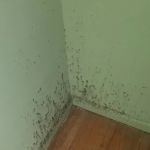 Pure Maintenance of Tucson