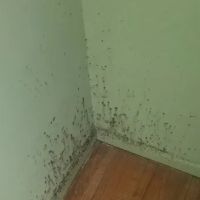 Pure Maintenance of Tucson ico