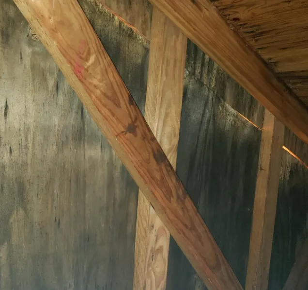 Pure Maintenance of Tucson Picture 9