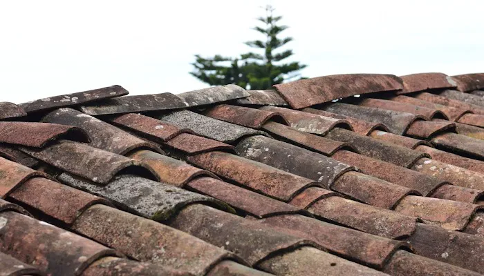 Centennial State Fire Damage Solutions Picture 2