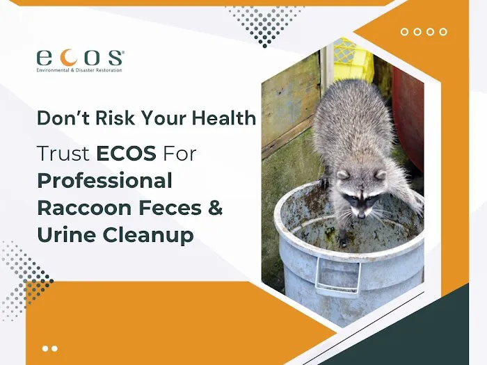 ECOS Environmental & Disaster Restoration, Inc. Picture 3