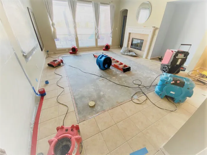 Mizuna Water Damage Picture 1