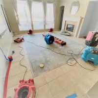 Mizuna Water Damage ico