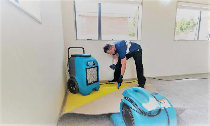 Mizuna Water Damage Picture 2