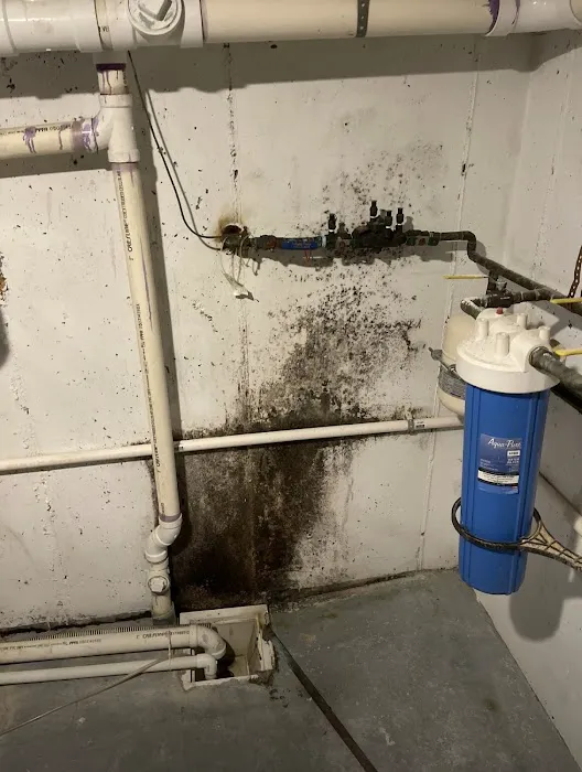 Best Option Restoration of Colorado Springs Picture 7