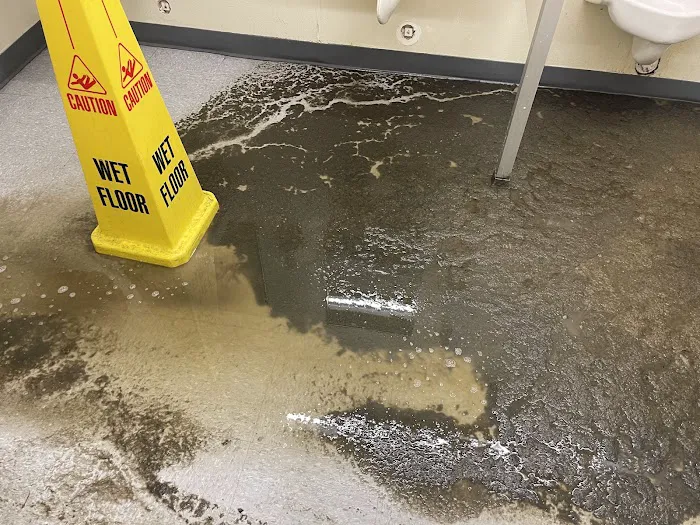 Colorado StainMaster Carpet Cleaners & Water Damage Restoration (Colorado Springs) Picture 5