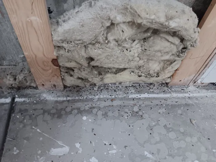 Colorado StainMaster Carpet Cleaners & Water Damage Restoration (Colorado Springs) Picture 8