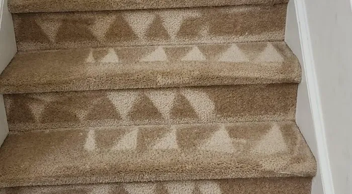 Colorado StainMaster Carpet Cleaners & Water Damage Restoration (Colorado Springs) Picture 1