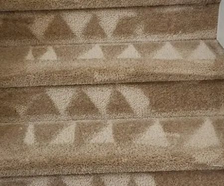 Colorado StainMaster Carpet Cleaners & Water Damage Restoration (Colorado Springs)
