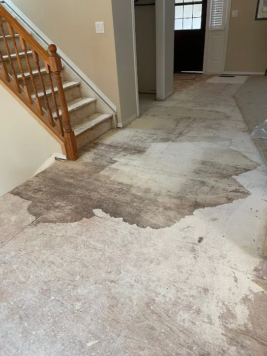 Restoration King Picture 7