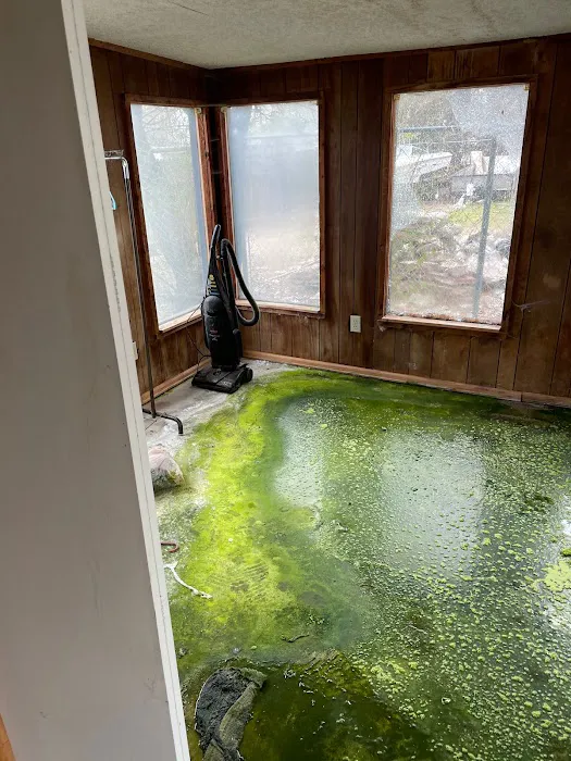 Restoration King Picture 1