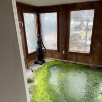 Restoration King ico