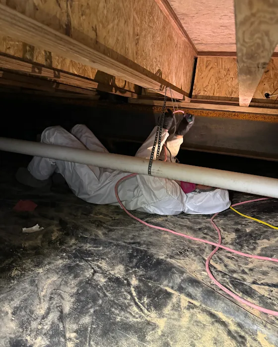 KW Restoration Picture 9